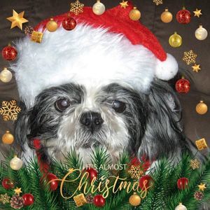 Meet your Posher, Yvonne